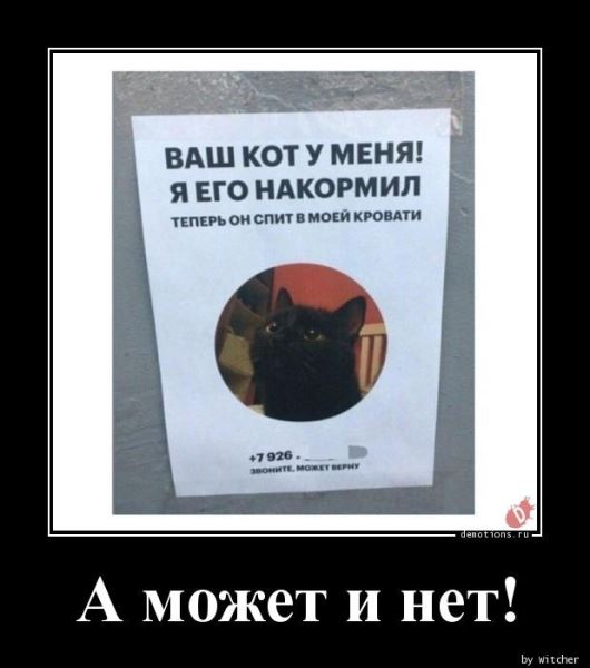 Демотиваторы — приколы для всех и для каждого: «За каждым великим мужчиной…» (14 фото)