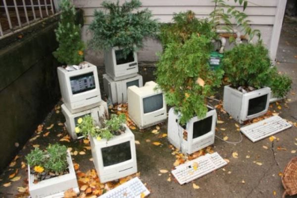 Когда садоводство и растения выходят из-под контроля (20 фото)