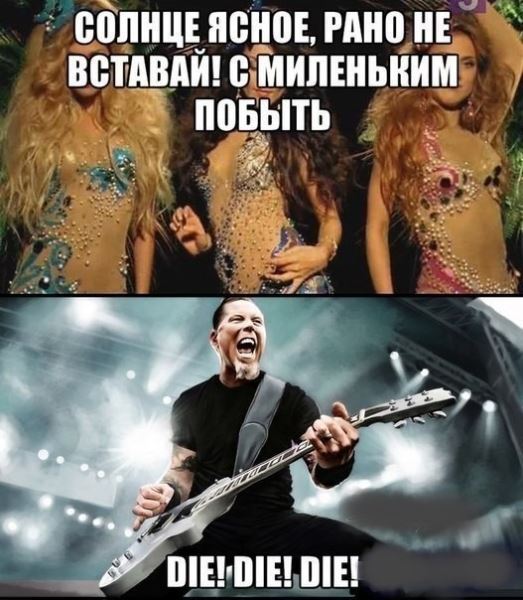 Весёлые картинки дня: «Усики, крылья, хоботок…» (27 фото)