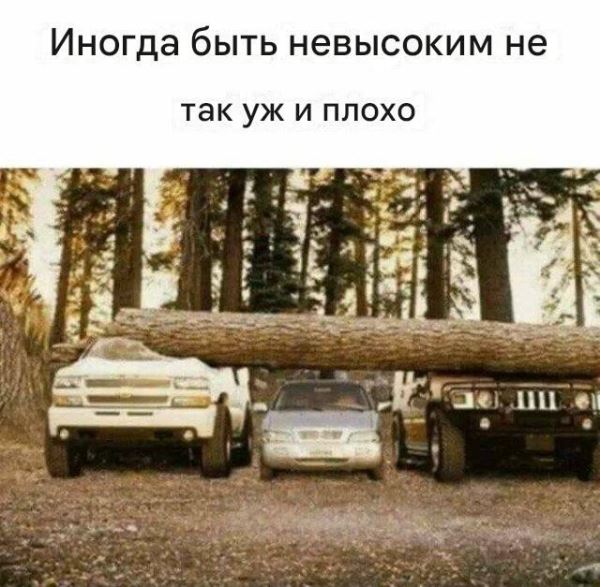 АВТОприкольные картинки: «Иногда быть невысоким не так уж и плохо» (28 фото)