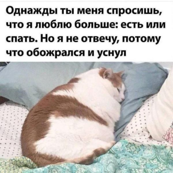 Прикольные мемы: «Устроился удалёнщиком…» (16 фото)