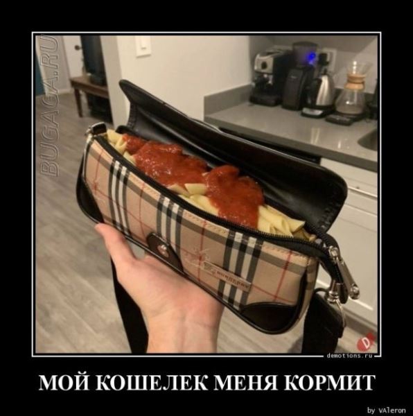 Демотиваторы – приколы: «Когда собираешься в магазин» (20 фото)