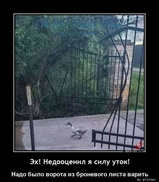 Демотиваторы-приколы в середине недели: «Мужчины все вещи обычно вешают на…» (18 фото)