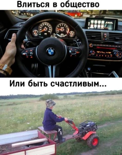 Весёлые картинки для всех: «Как распознать тарелочницу» (31 фото)