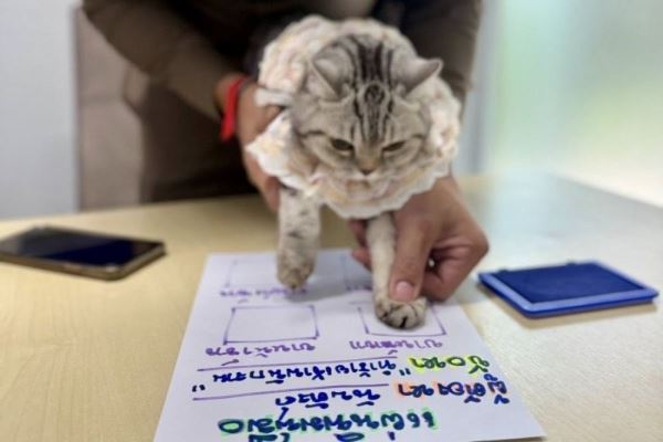 В Таиланде задержали кошку за нападение на полицейских и сняли отпечатки лап