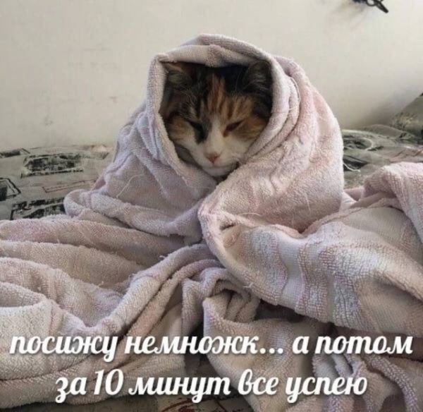 Прикольные картинки: «Посижу немножк…» (30 шт)