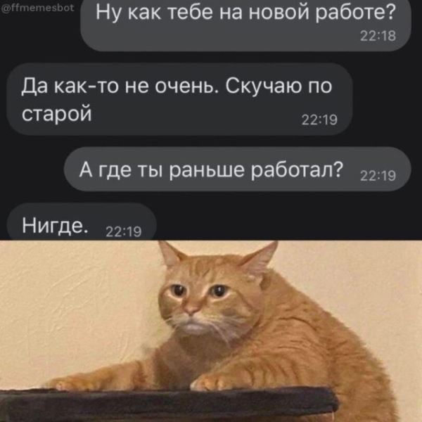 Прикольные картинки: «Кто может продать 2 шт. пчёл для лечебных целей?» (28 фото)