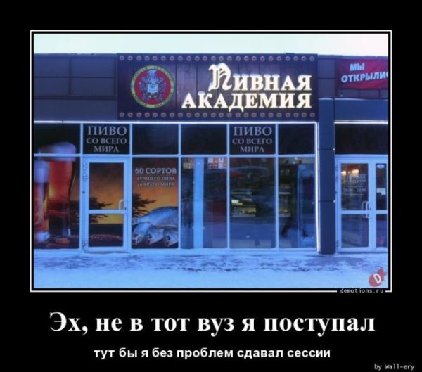 Прикольные демотиваторы: «Моя пирамида с маслоу» (13 фото)