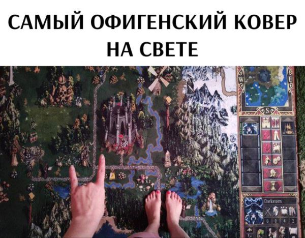 Весёлые картинки дня: «Усики, крылья, хоботок…» (27 фото)