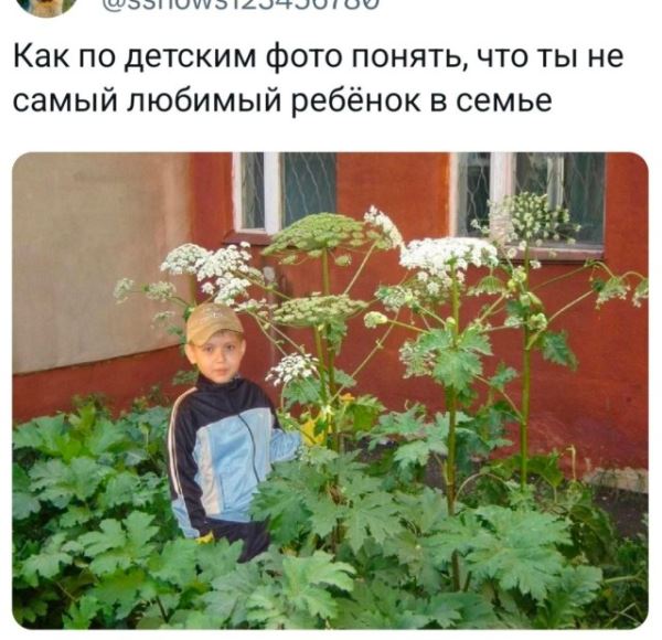 Смешные приколы в середине недели: «Аниме мерч для взрослых…» (30 фото)