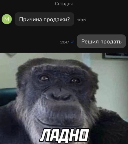 Прикольные картинки на любой вкус: «Меладзе живёт в Испании…» (24 фото)