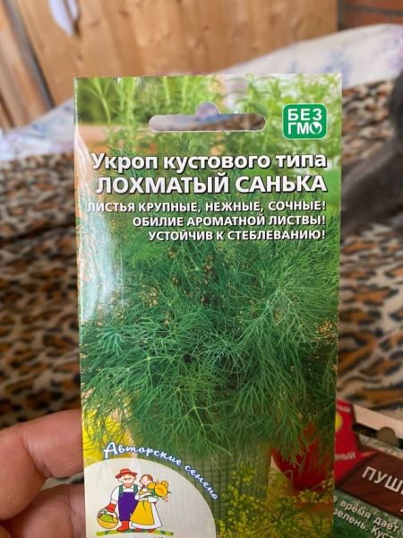 Смешные объявления, вывески и реклама (30 фото)