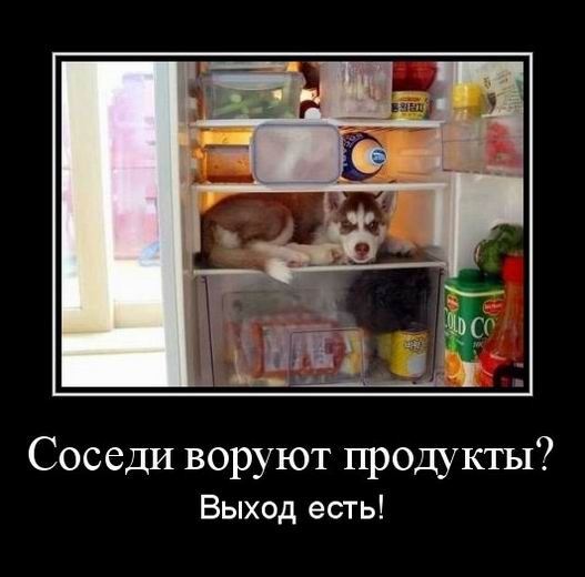 Демотиваторы — приколы для всех и для каждого: «За каждым великим мужчиной…» (14 фото)