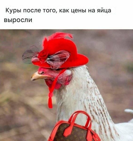 Прикольные мемы: «Устроился удалёнщиком…» (16 фото)