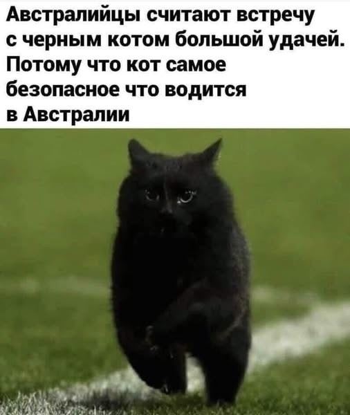 Пятничный позитив в прикольных картинках: «Фанаты ИИ открыли для себя мышление…» (34 фото)