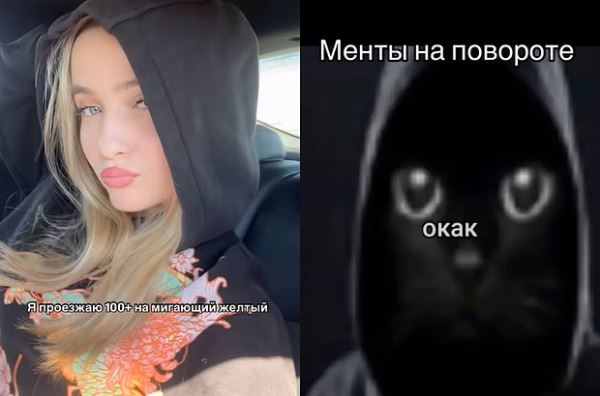 Мем «окак»: откуда взялась картинка с котом в капюшоне и что она означает
