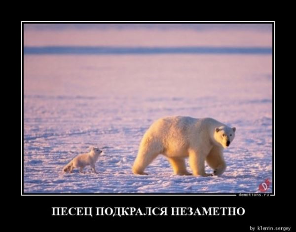 Прикольные демотиваторы: «Моя пирамида с маслоу» (13 фото)