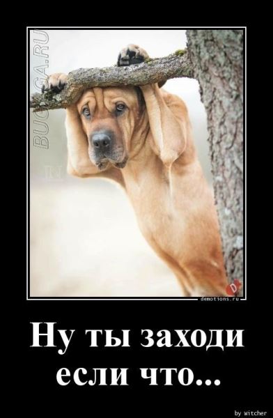 Демотиваторы для хорошего настроения: «От создателей…» (17 фото)