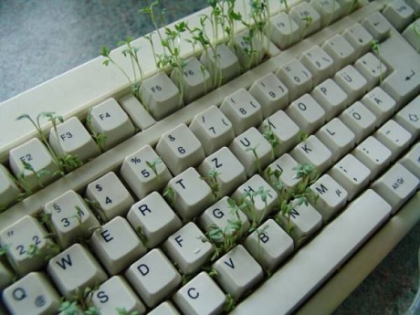 Когда садоводство и растения выходят из-под контроля (20 фото)