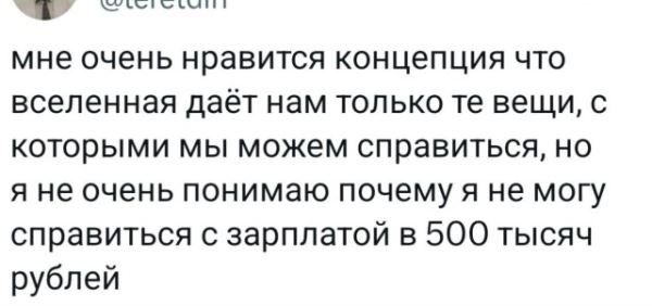 Весёлые картинки дня: «Усики, крылья, хоботок…» (27 фото)