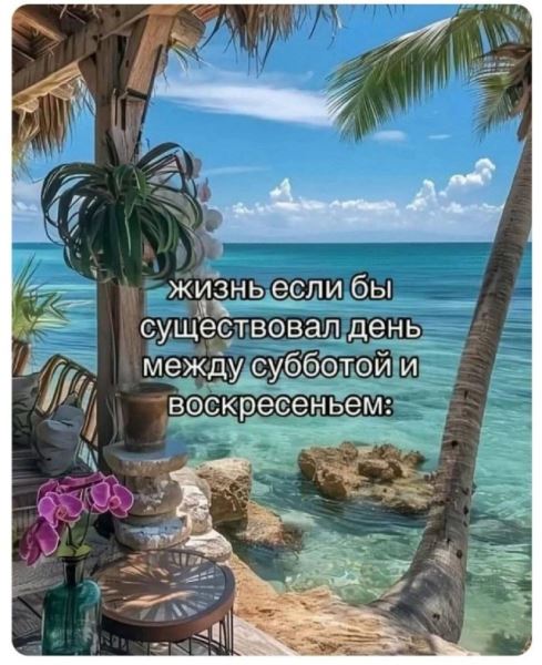Смешные приколы в середине недели: «Аниме мерч для взрослых…» (30 фото)
