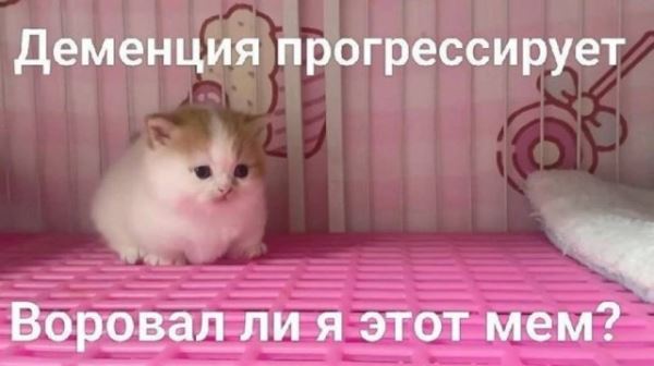 Пятничные фотоприколы: «Если что, я на телефоне…» (35 шт)