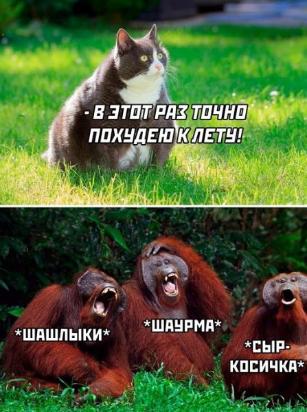 Прикольные картинки: «Посижу немножк…» (30 шт)