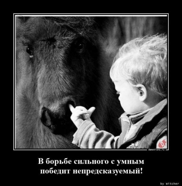 Демотиваторы для хорошего настроения: «От создателей…» (17 фото)