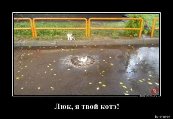 Демотиваторов сборник: «Игра окончена!» (22 шт)