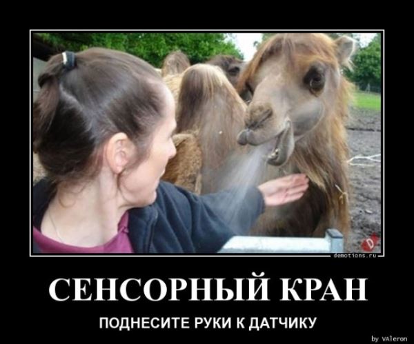 Демотиваторы — приколы для всех и для каждого: «За каждым великим мужчиной…» (14 фото)