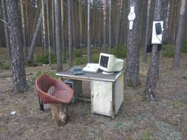 Когда садоводство и растения выходят из-под контроля (20 фото)