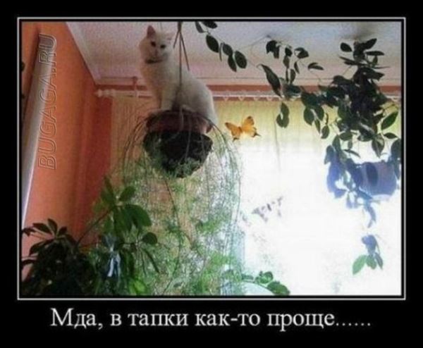 Демотиваторы – приколы: «Тренировочный центр» (19 фото)