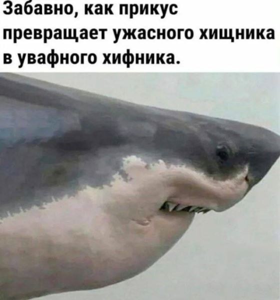 Новая порция фотоприколов: «Насколько ты старый?» (25 фото)