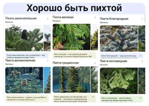 Пятничные фотоприколы: «Если что, я на телефоне…» (35 шт)