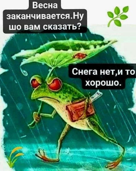 Смешные приколы в середине недели: «Аниме мерч для взрослых…» (30 фото)