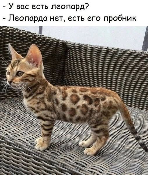 Новая порция фотоприколов: «Насколько ты старый?» (25 фото)