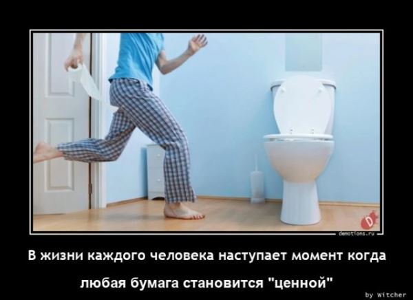 Демотиваторы для настроения: «Все красивые девули покупают креветули!» (18 фото)