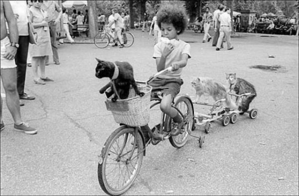 Винтажные фотографии, демонстрирующие вечную связь между детьми и кошками (30 фото)