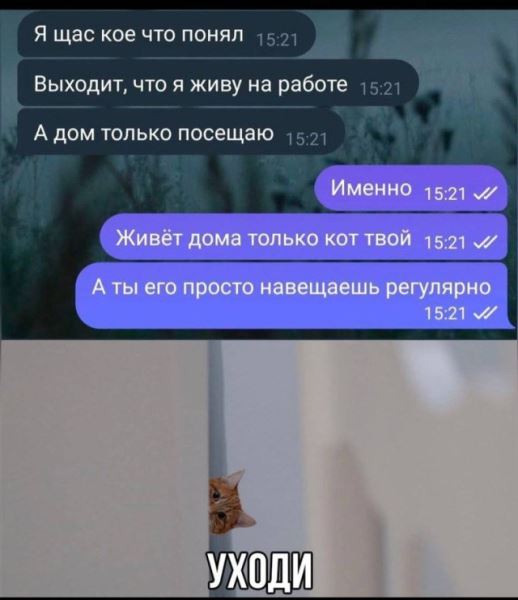 Прикольные комментарии: «А что делает стиралка, когда не вращает барабан?» (17 фото)