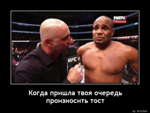Прикольные демотиваторы: «Моя пирамида с маслоу» (13 фото)