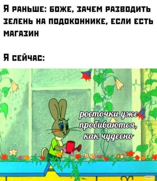 Прикольные картинки дня: «Google, когда я захожу в аккаунт…» (28 фото)