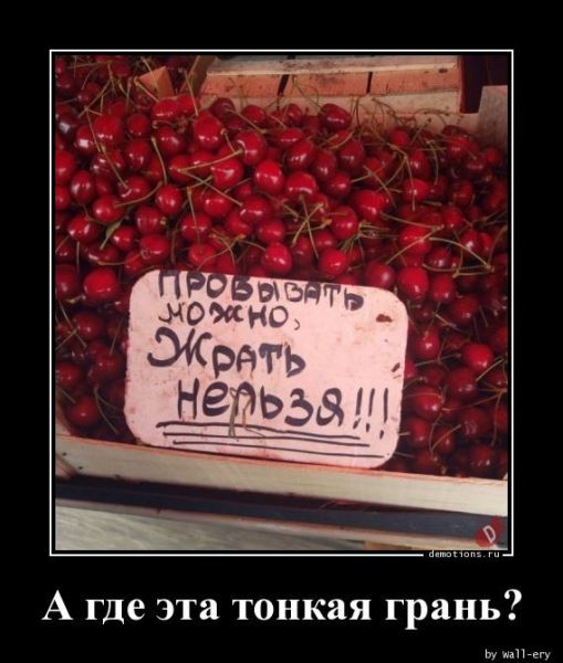 Демотиваторы – приколы на любой вкус: «Не высыпаешься?» (16 фото)