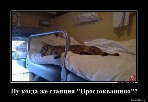 Демотиваторы-приколы в середине недели: «Мужчины все вещи обычно вешают на…» (18 фото)