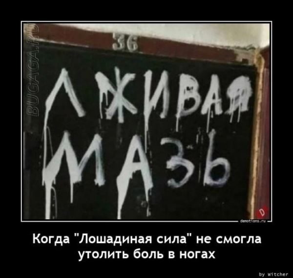Демотиваторы – приколы: «Когда собираешься в магазин» (20 фото)