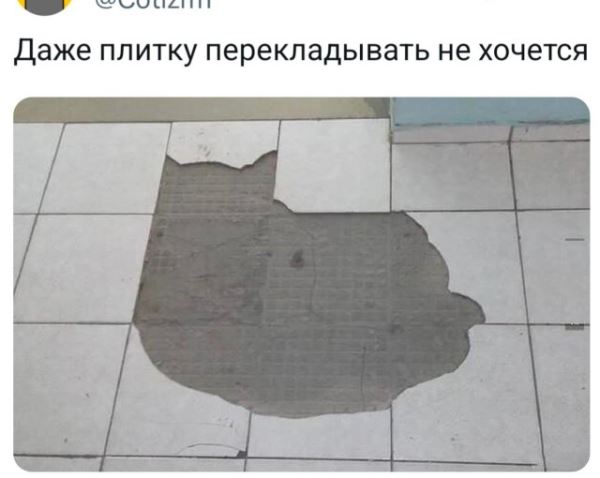 Прикольные комментарии: «Я извиняюсь…» (17 фото)