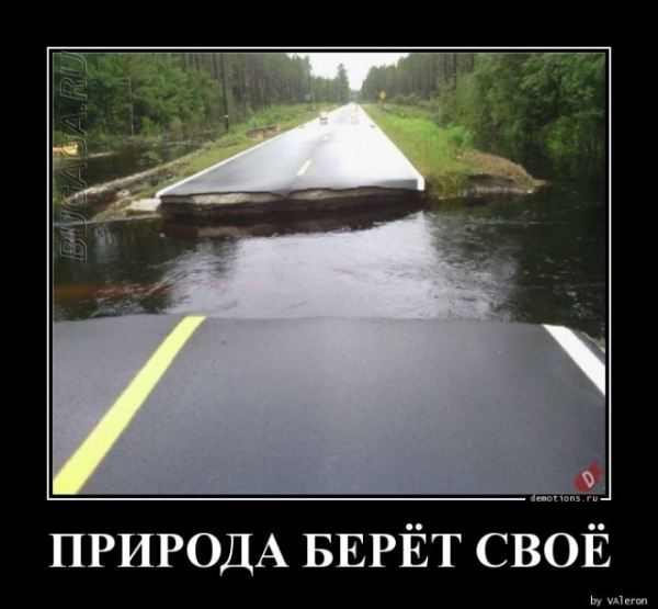 Демотиваторы-приколы в середине недели: «Мужчины все вещи обычно вешают на…» (18 фото)