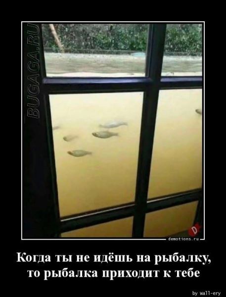 Демотиваторы-приколы в середине недели: «Мужчины все вещи обычно вешают на…» (18 фото)