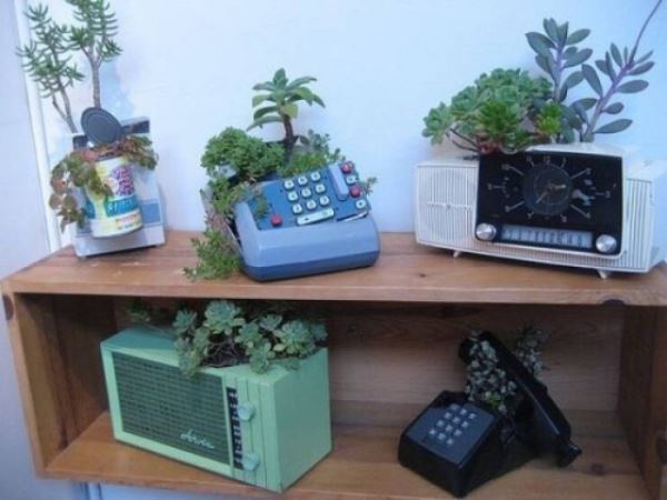 Когда садоводство и растения выходят из-под контроля (20 фото)