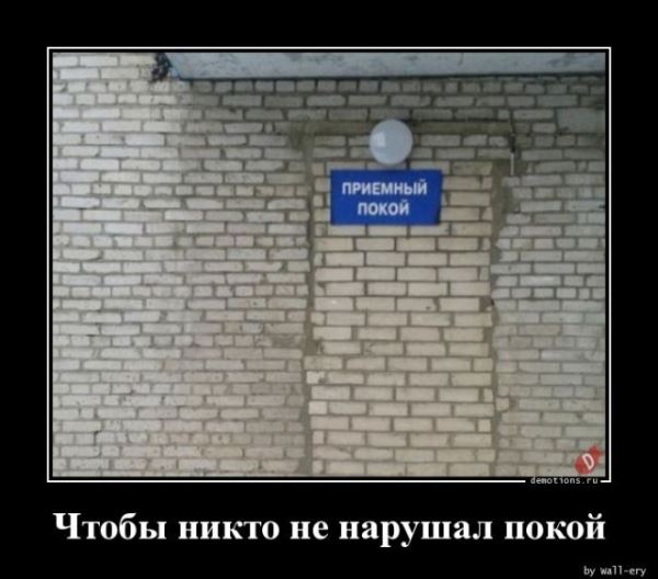 Демотиваторы для настроения: «Все красивые девули покупают креветули!» (18 фото)