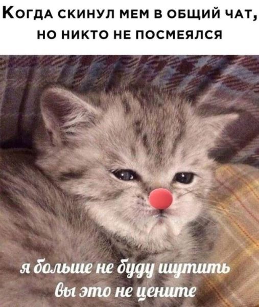 Весёлые картинки для настроения: «Когда спала лицом в подушку» (32 фото)